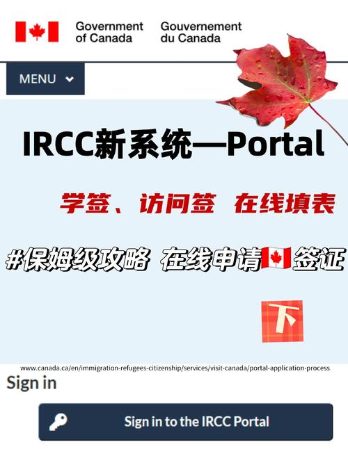 使用CCleaner前，有哪些防止误删的准备工作？